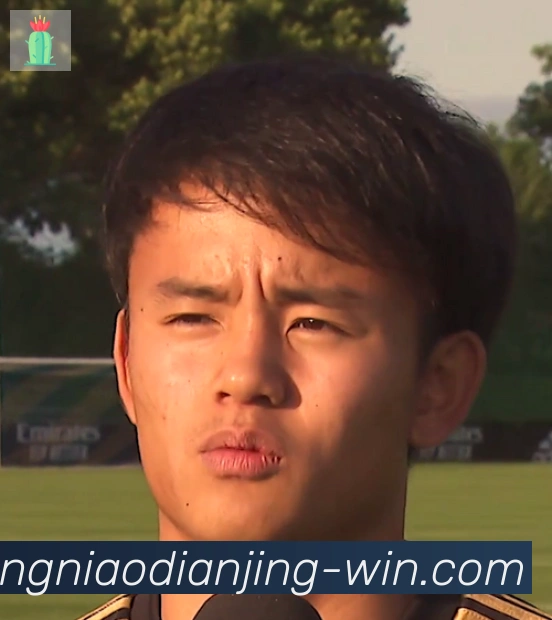 维尼修斯